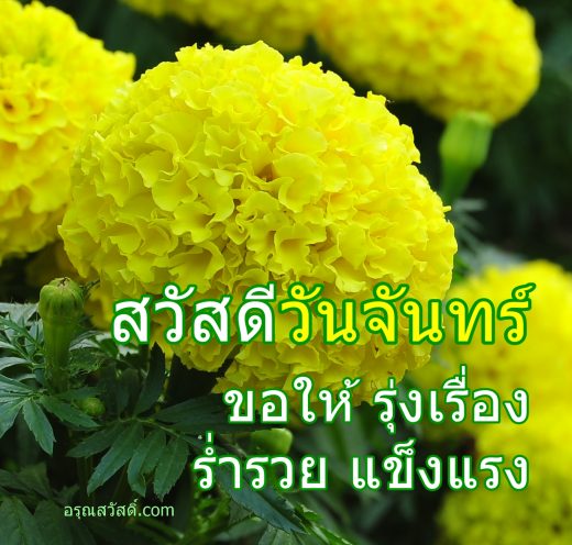 สวัสดีวันจันทร์