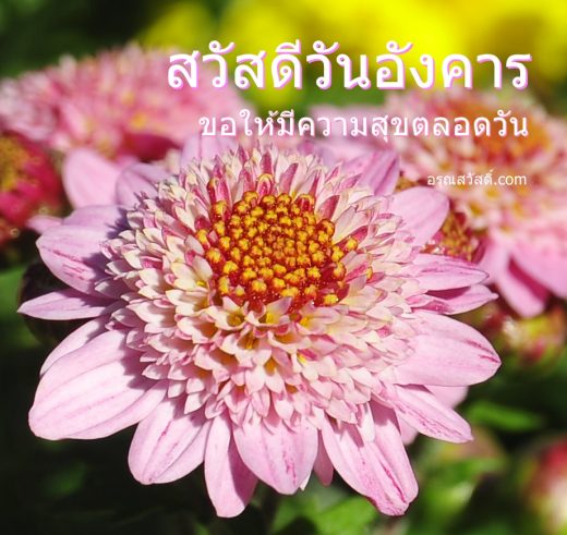 สวัสดีวันอังคาร