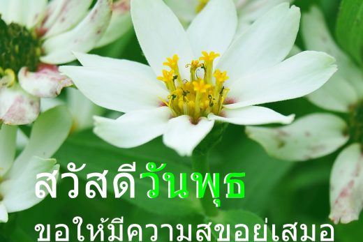สวัสดีวันพุธ