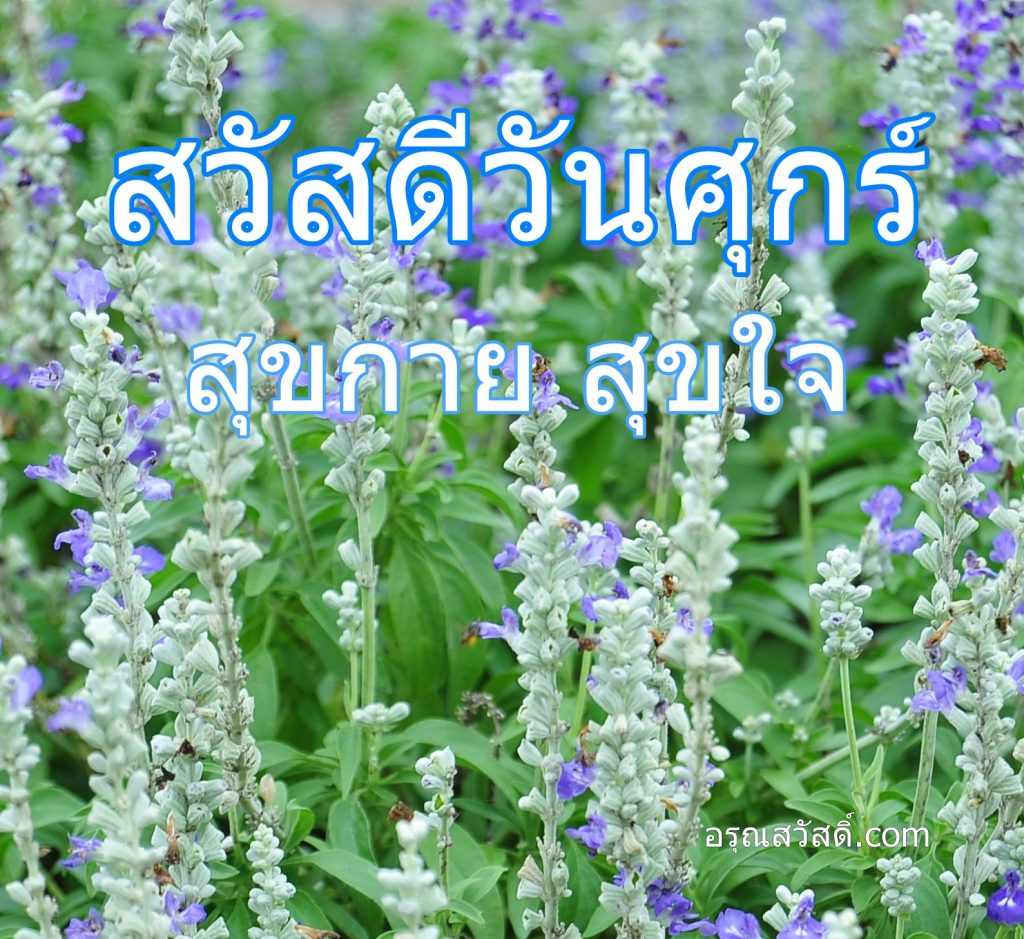 สวัสดีวันศุกร์