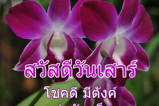 สวัสดีวันเสาร์
