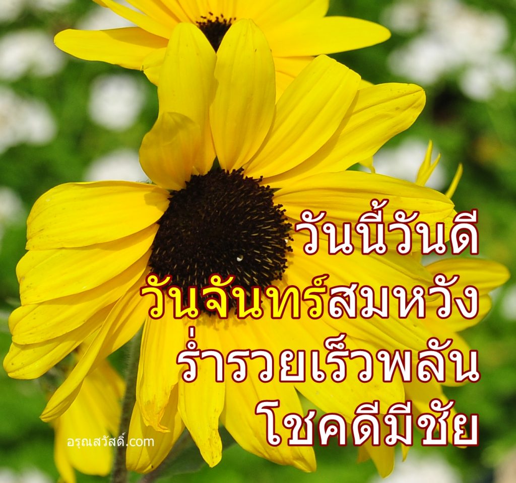 อรุณสวัสดิ์วันจันทร์