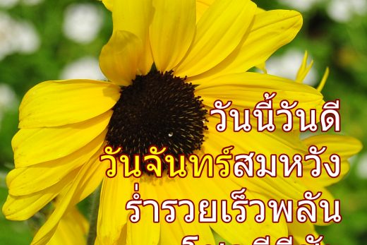 อรุณสวัสดิ์วันจันทร์