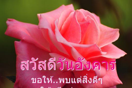 สวัสดีวันอังคาร