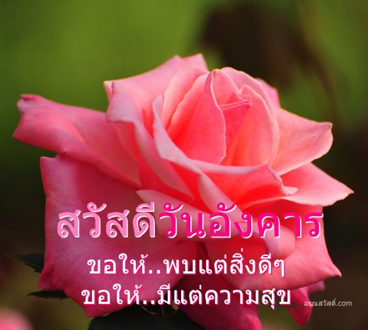 สวัสดีวันอังคาร