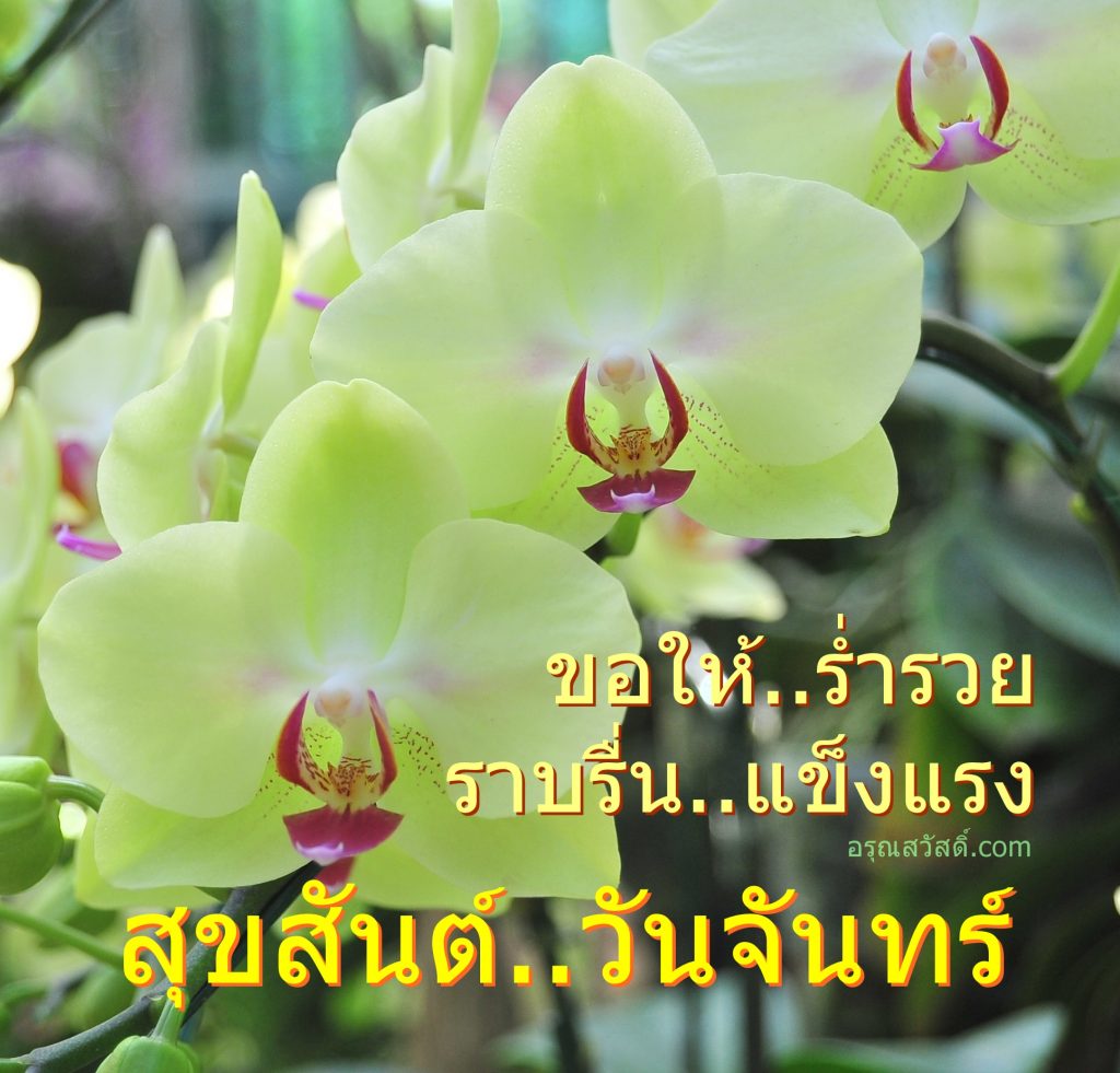 สวัสดีวันจันทร์