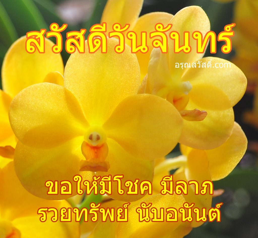 สวัสดีวันจันทร์