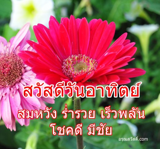 สวัสดีวันอาทิตย์