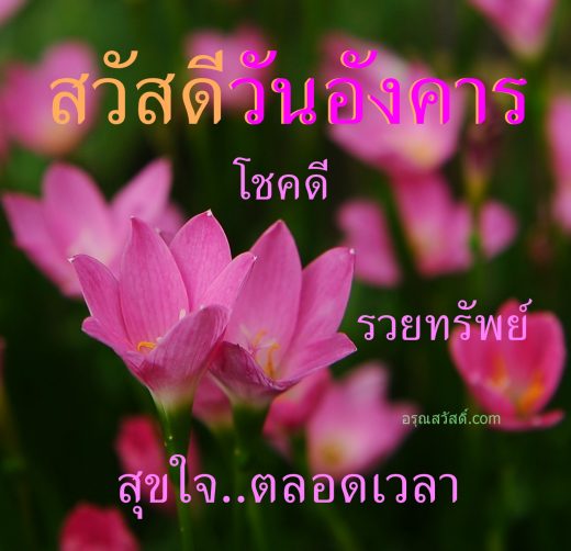 สวัสดีวันอังคาร