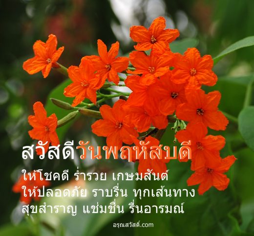 สวัสดีวันพฤหัสบดี