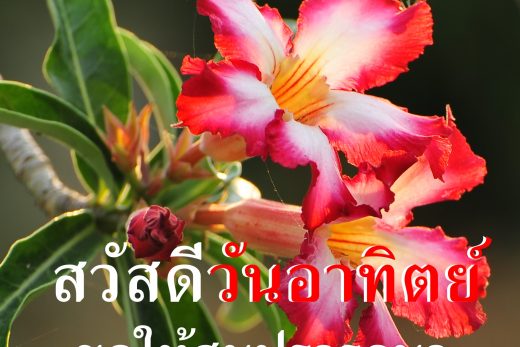 สวัสดีวันอาทิตย์