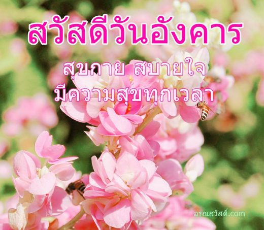 สวัสดีวันอังคาร