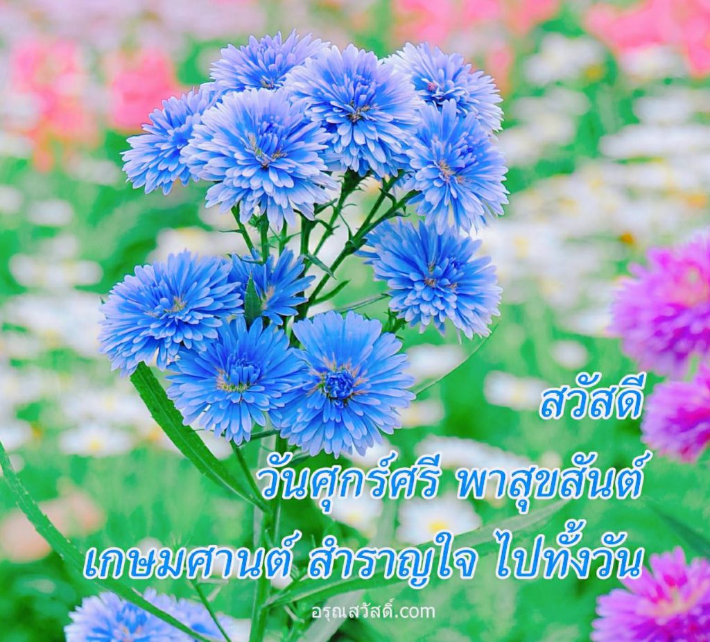 สวัสดีวันศุกร์