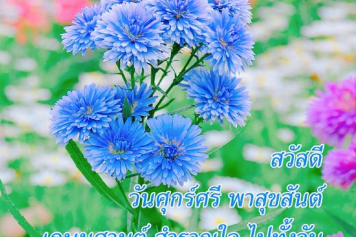 สวัสดีวันศุกร์