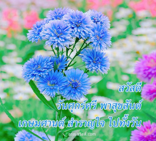 สวัสดีวันศุกร์