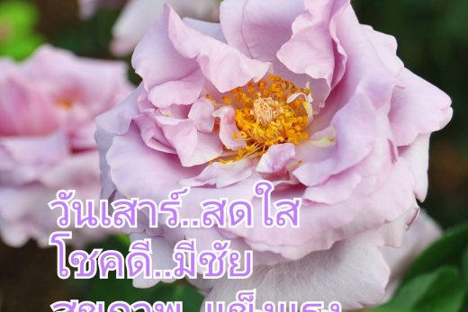 อรุณสวัสดิ์วันเสาร์