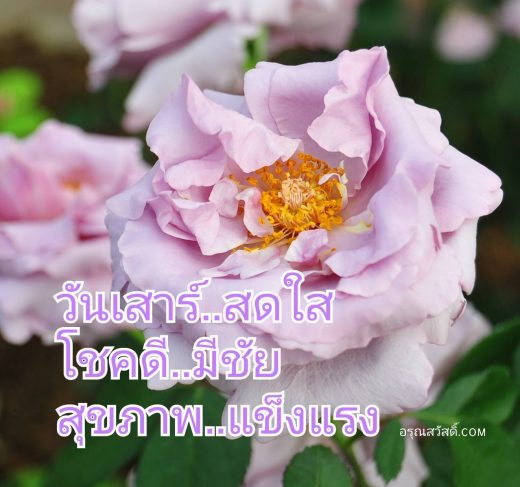 อรุณสวัสดิ์วันเสาร์