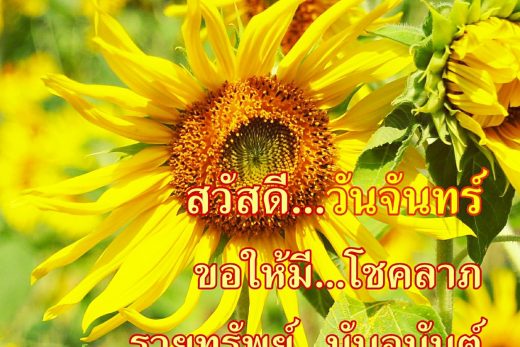 สวัสดีวันจันทร์