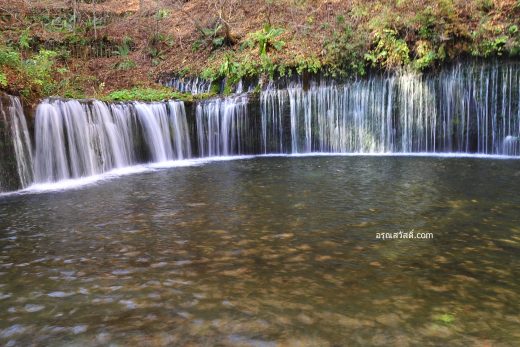 น้ำตกชิราอิโตะ Shiraito Falls ประเทศญี่ปุ่น