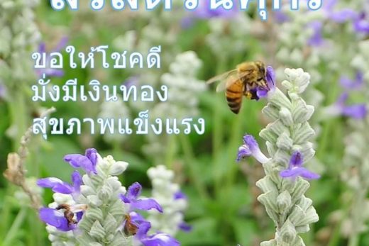สวัสดีวันศุกร์