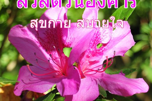 อรุณสวัสดิ์วันอังคาร