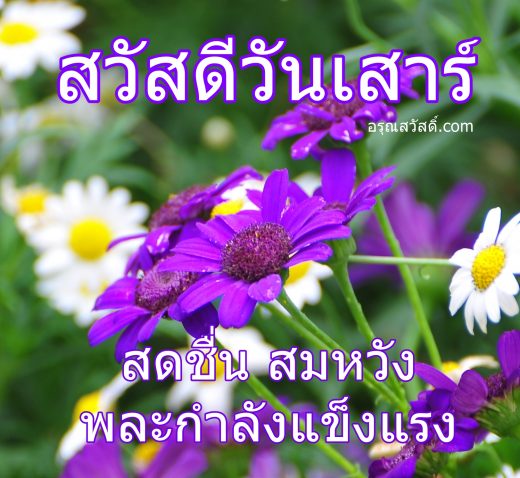 สวัสดีวันเสาร์