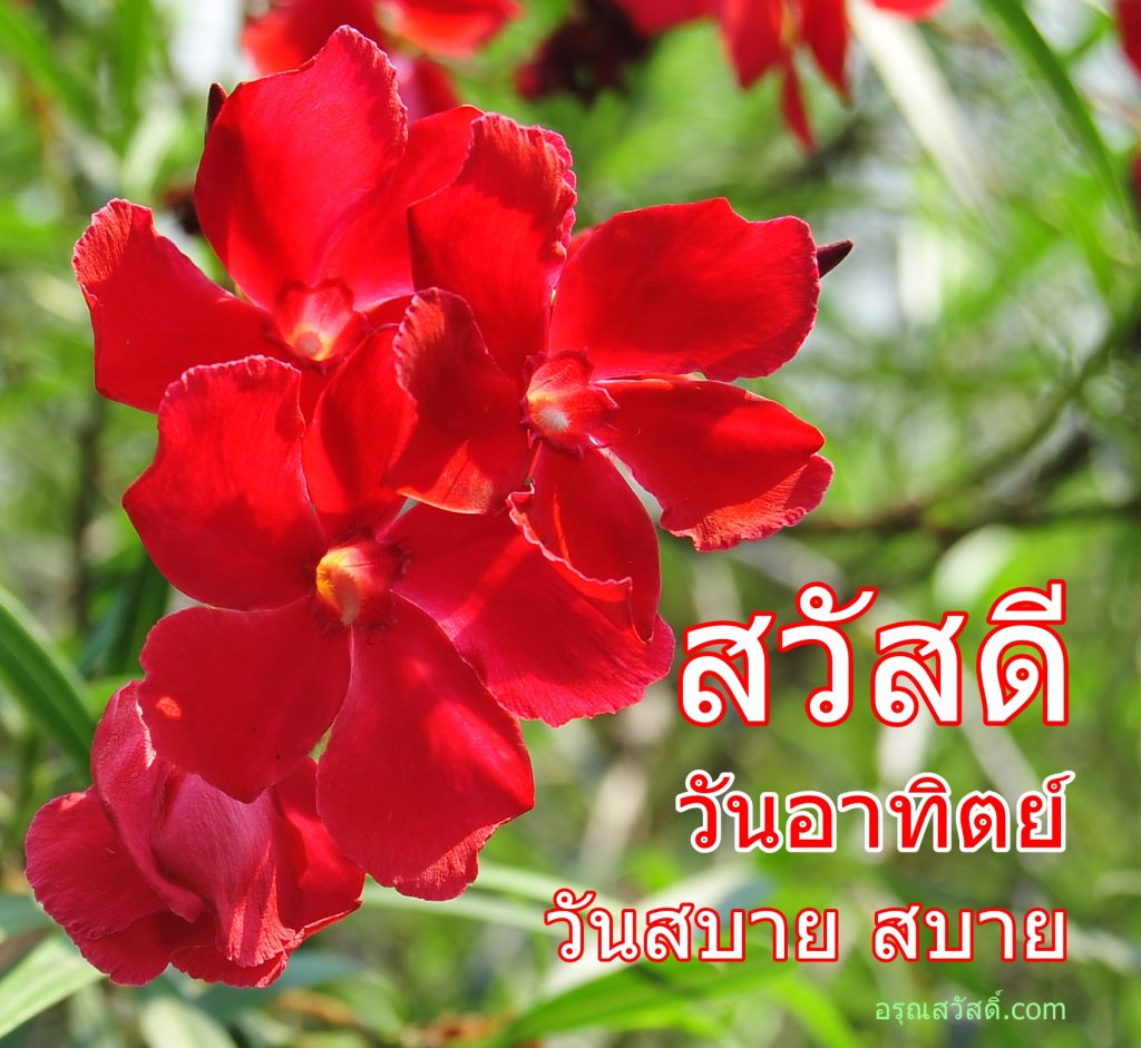สวัสดีวันอาทิตย์