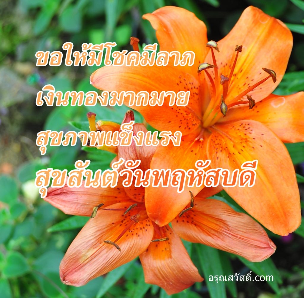 สวัสดีวันพฤหัสบดี