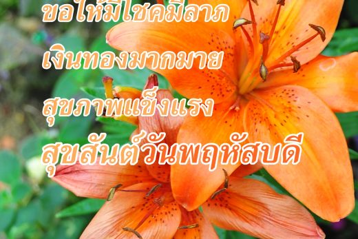 สวัสดีวันพฤหัสบดี