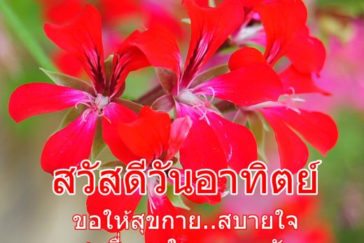 อรุณสวัสดิ์วันอาทิตย์