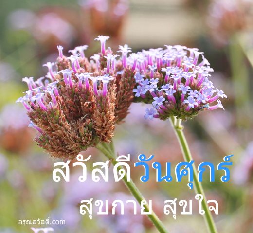 สวัสดีวันศุกร์