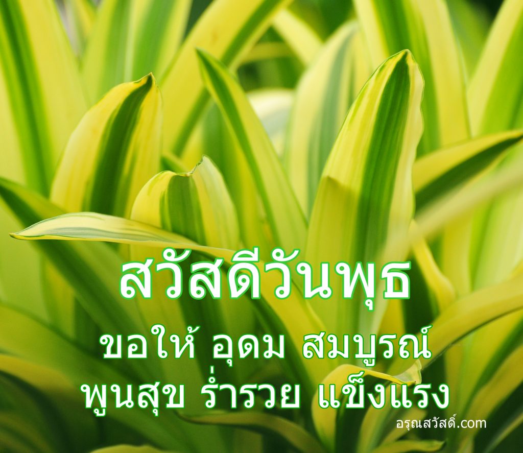 สวัสดีวันพุธ