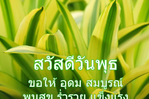 สวัสดีวันพุธ