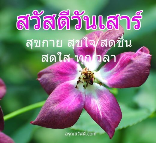 สวัสดีวันเสาร์