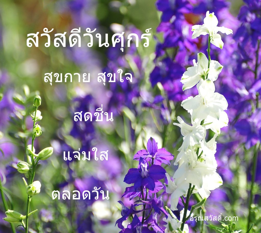 สวัสดีวันศุกร์