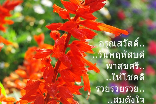 อรุณสวัสดิ์วันพฤหัสบดี