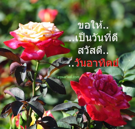 สวัสดีวันอาทิตย์