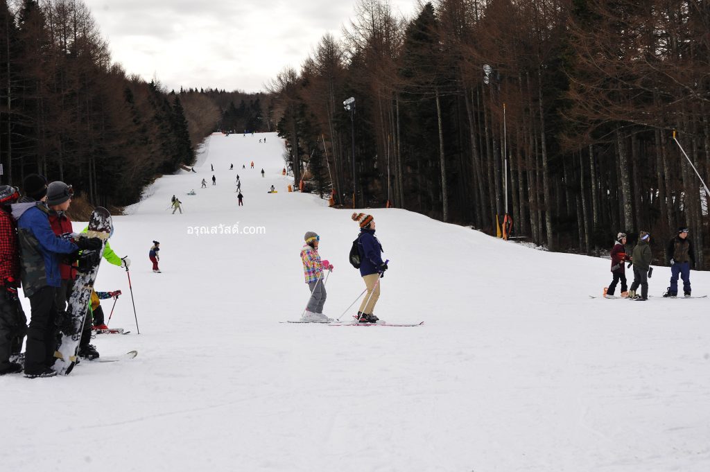 ฟูจิเท็น สโนว์ รีสอร์ต Fujiten Snow Resort