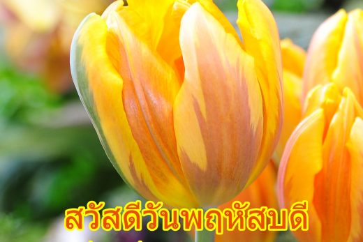 สวัสดีวันพฤหัสบดี