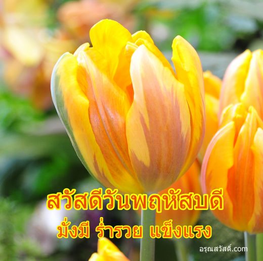 สวัสดีวันพฤหัสบดี