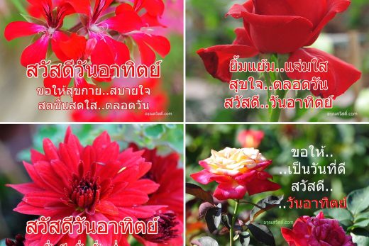 สวัสดีวันอาทิตย์