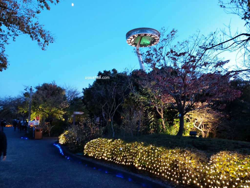 นาบานะ โนะ ซะโตะ Nabana No Sato Illumination