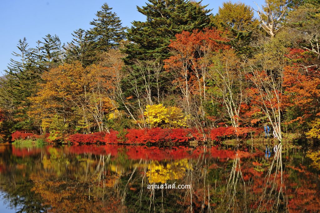 คุโมะไบเกะ Kumobaike Pond