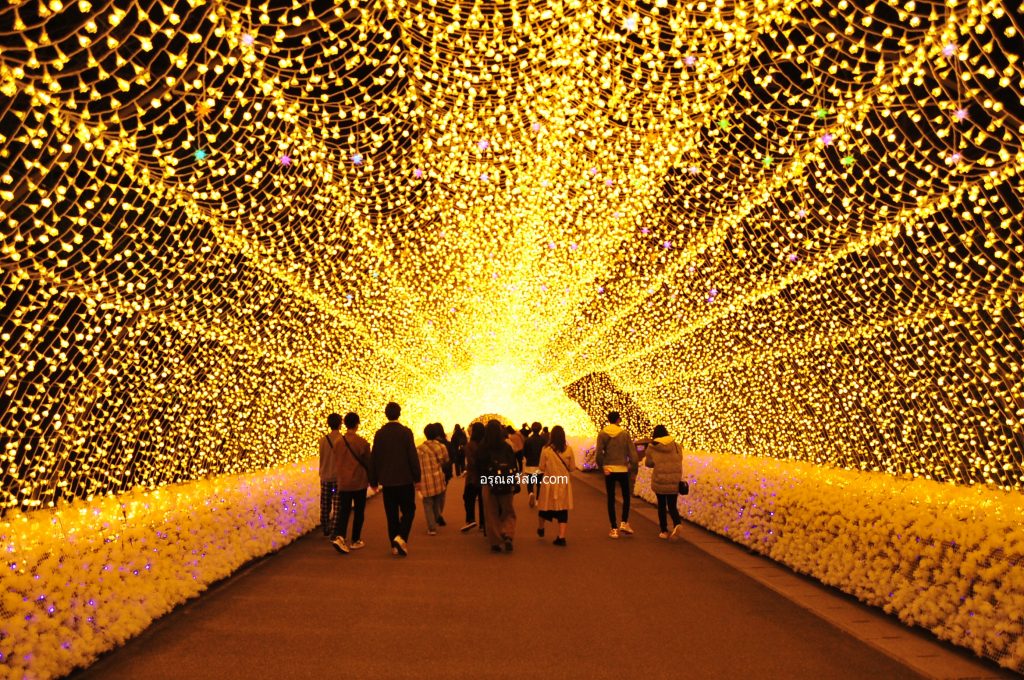 อุโมงค์ประดับไฟ นาบานะ โนะ ซะโตะ Nabana No Sato Illumination