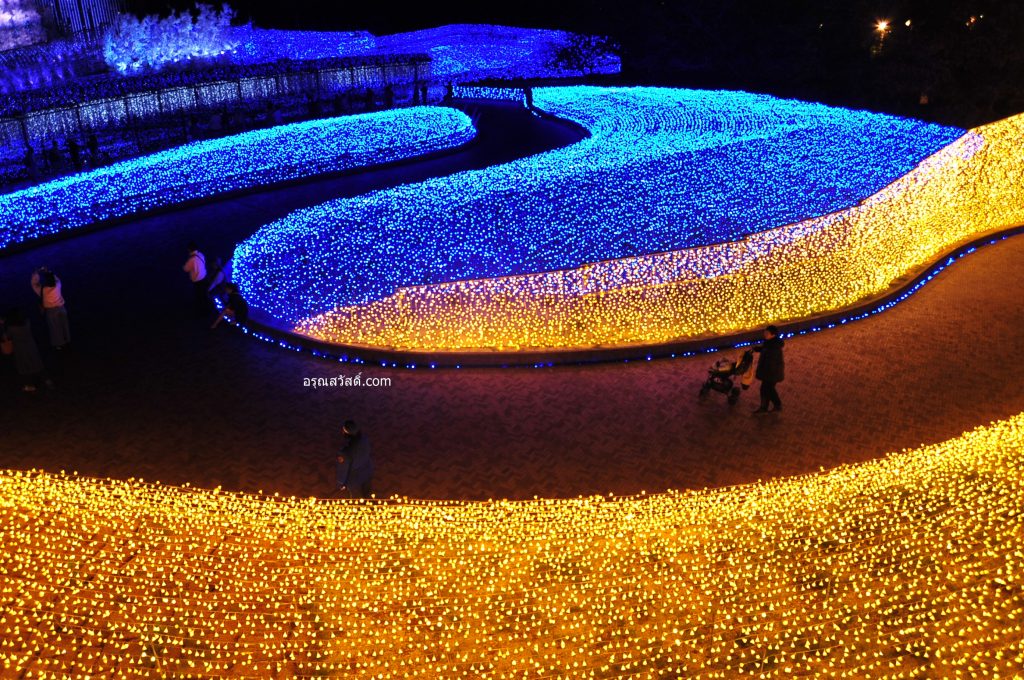 งานประดับไฟ นาบานะ โนะ ซะโตะ Nabana No Sato Illumination