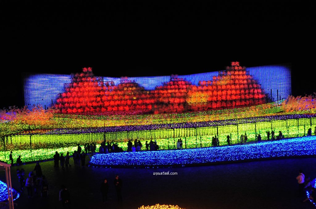 นาบานะ โนะ ซะโตะ Nabana No Sato Illumination