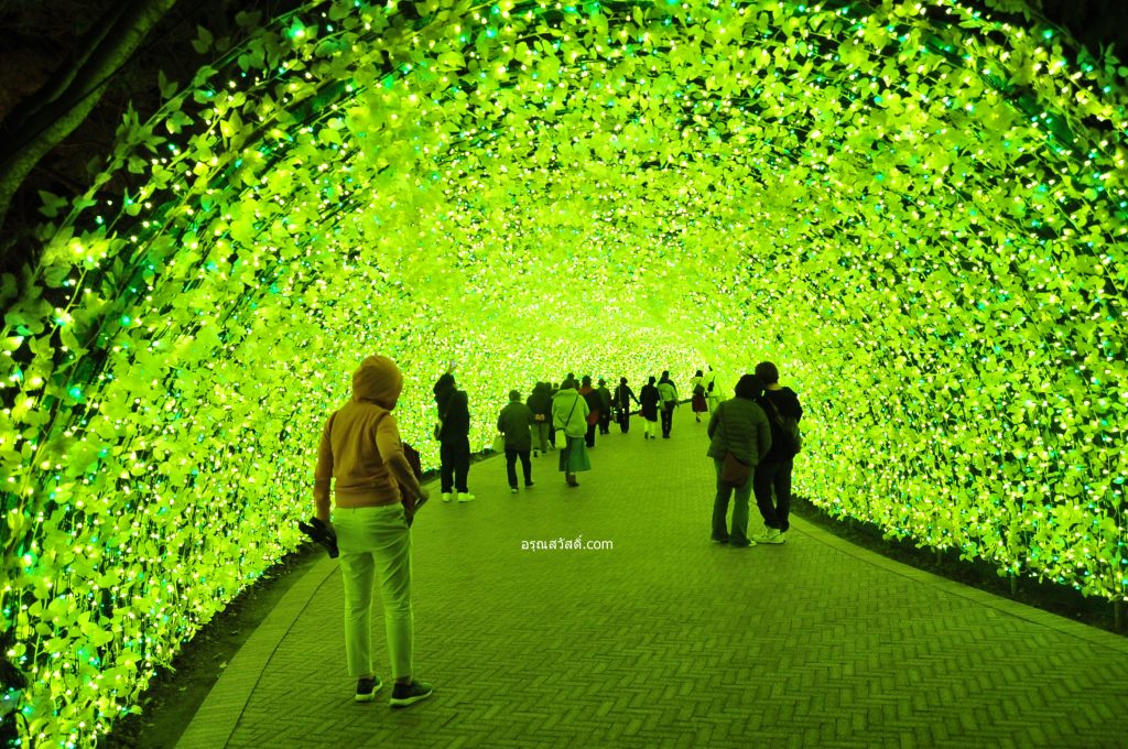 อุโมงค์ประดับไฟ นาบานะ โนะ ซะโตะ Nabana No Sato Illumination