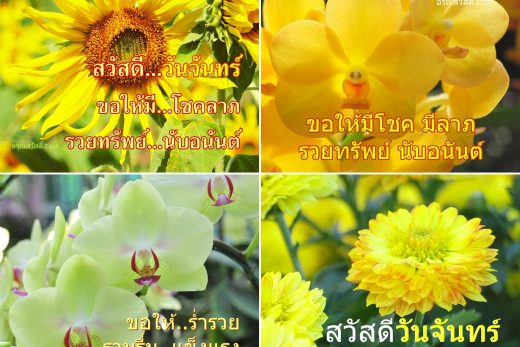 สวัสดีตอนเช้า