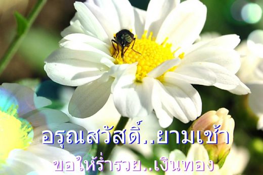 อรุณสวัสดิ์