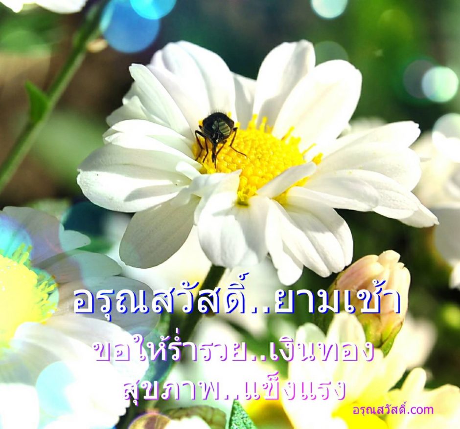 อรุณสวัสดิ์